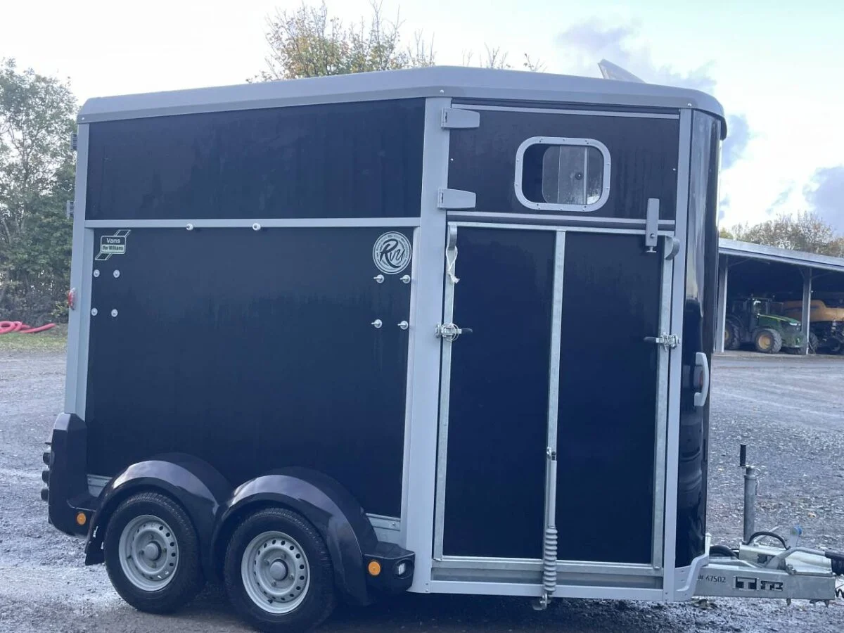 Van chevaux Ifor Williams HB 506 – 2 places – PTAC 2 600 kg – Plancher aluminium – Image 5